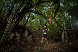 BIB: 
                            <button type="button" onclick="openModal(22177551)" class="btn btn-primary btn-sm float-right btn-popup" data-toggle="modal" data-target=".modal-high-quality">
                        <i class="fas fa-shopping-cart"></i> Add to Cart
                    </button>
                                            <button type="button" onclick="isThisMe(22177551, true)" class="btn btn-success btn-sm float-right btn-popup btn-isme hidden" data-toggle="tooltip" data-placement="bottom" title="นี่คือรูปของคุณใช่ไหม คลิกที่นี่เพื่อเอาเข้าอัลบั้ม">
                        <i class="fas fa-plus"></i> Add to album
                    </button>
                    <button type="button" onclick="isThisMe(22177551, false)" class="btn btn-warning btn-sm float-right btn-popup btn-isnotme hidden">
                        <i class="fas fa-ban"></i> Remove from album
                    </button>